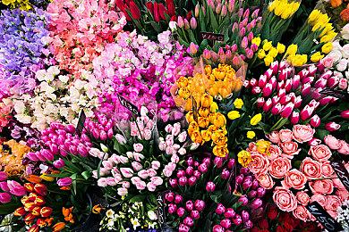 Epic喜加一：《星球大战：战机中队》免费领